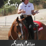 A Clinic With Sandy