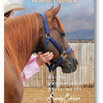 MORE Secrets To Becoming A Great Horse Owner – V4081801106