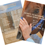 Secrets To Becoming A Great Horse Owner – V4081709252
